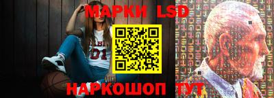 шишки Будённовск