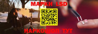 шишки Будённовск