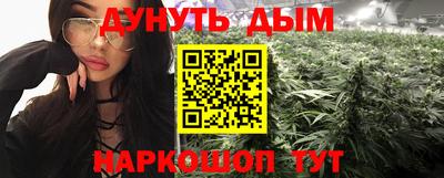 шишки Будённовск