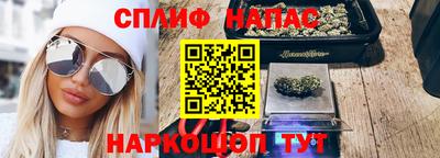 шишки Будённовск