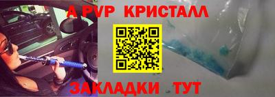 шишки Будённовск
