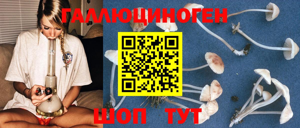 Псилоцибиновые грибы ЛСД Прокопьевск